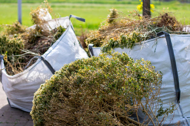 Best Shed Removal  in Tuckerman, AR